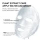 Anti-wrinkle mask